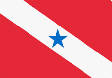 Bandeira Pará